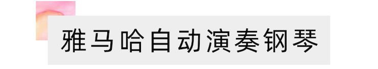 活动报道 | “科技助力，跨越时空”，小鹿纯子携手刘明康共享中日音乐盛宴