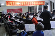 长春市绿园小学“壹定发示范管乐队大师班”顺利结束 